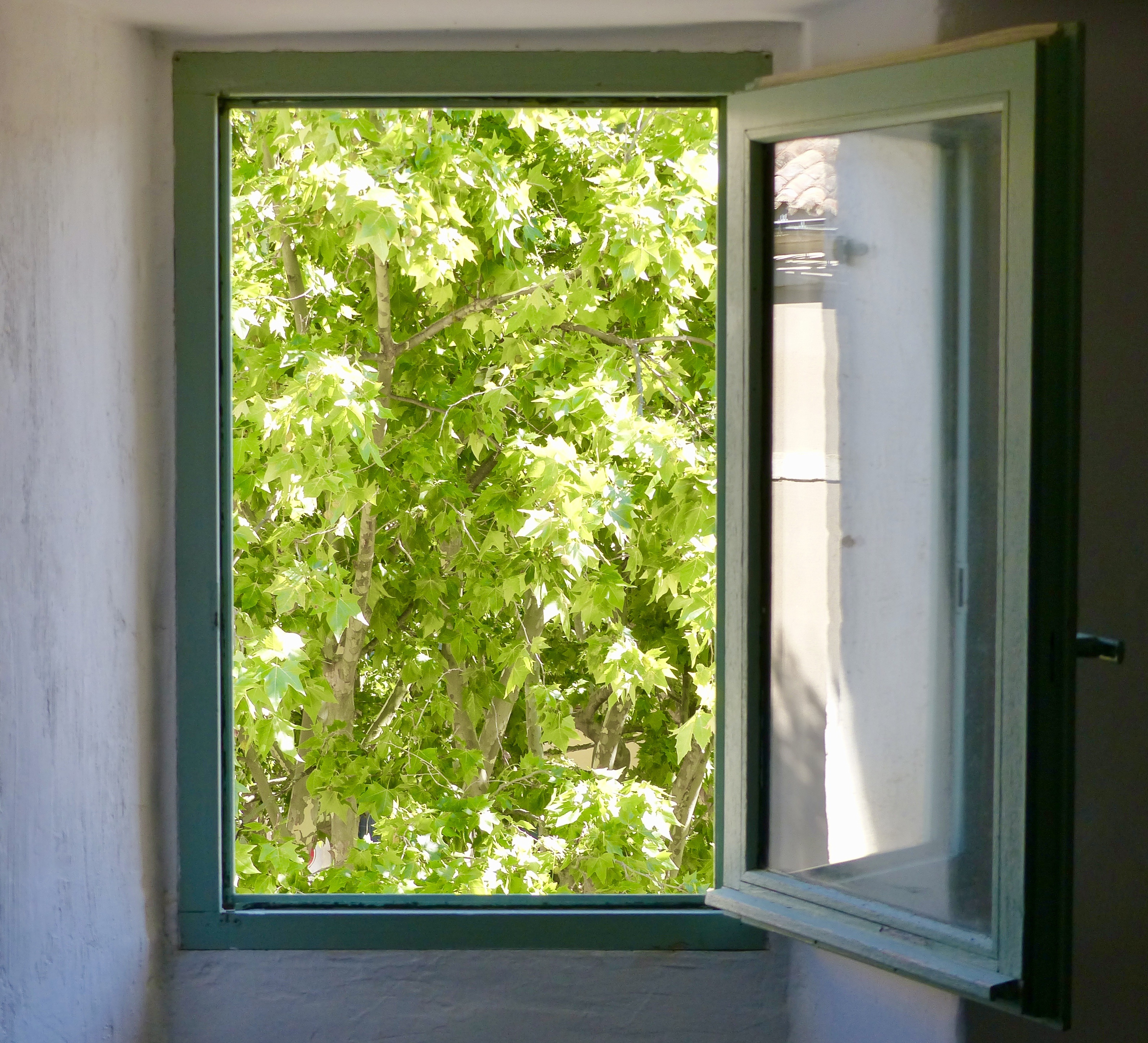 FEE19706-AD65-4364-BDC3-9E508739BE70 1 201 a