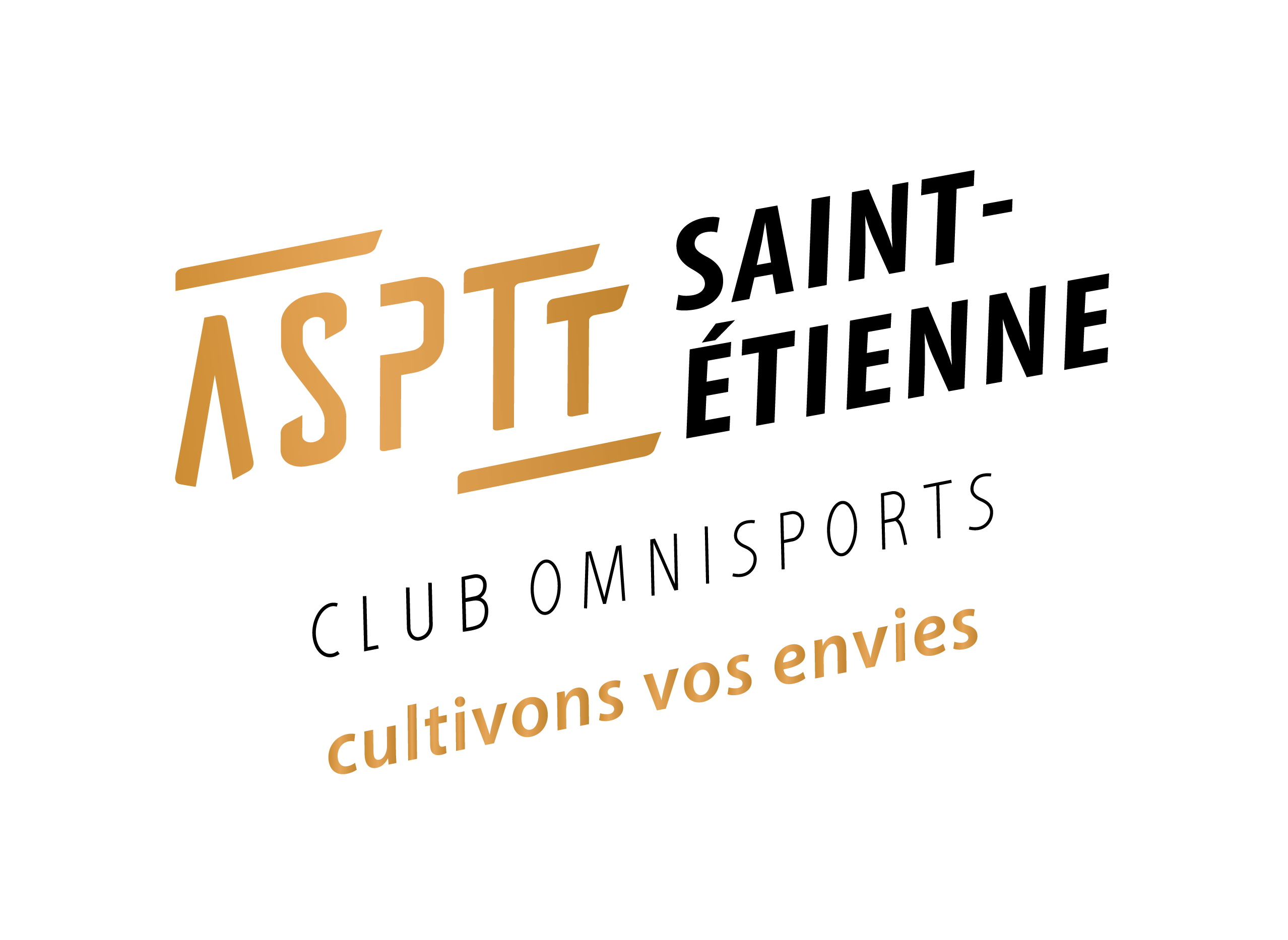 Saint-etienne-01