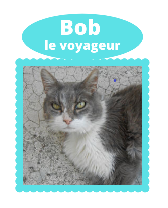 Bob-le-voyageur-Paint