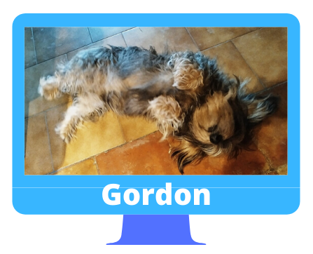 Gordon-Paint