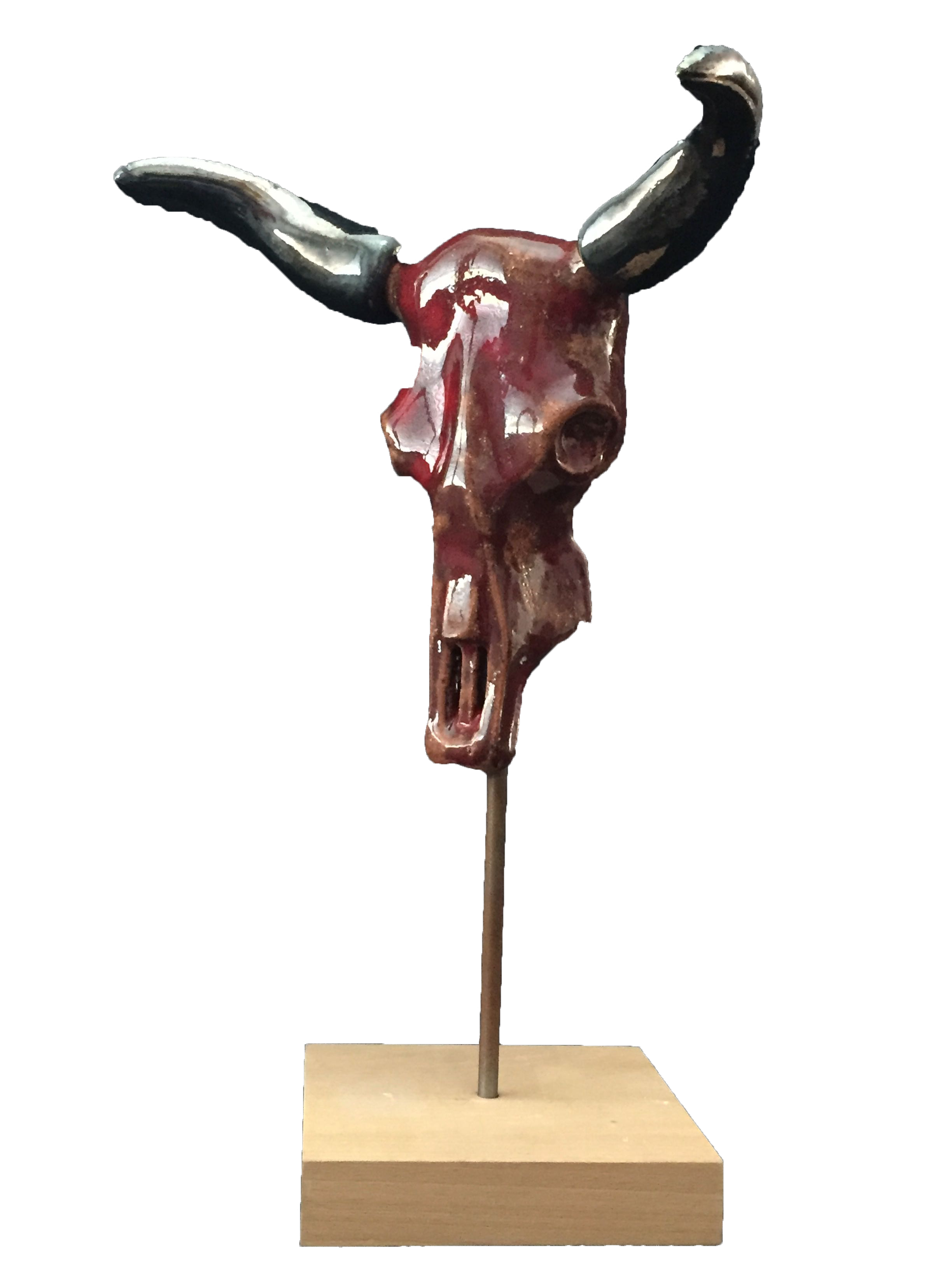 Petit taureau 0