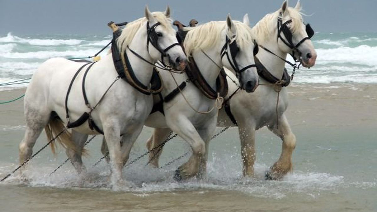 5ede6f3c0db45 boulonnais eau