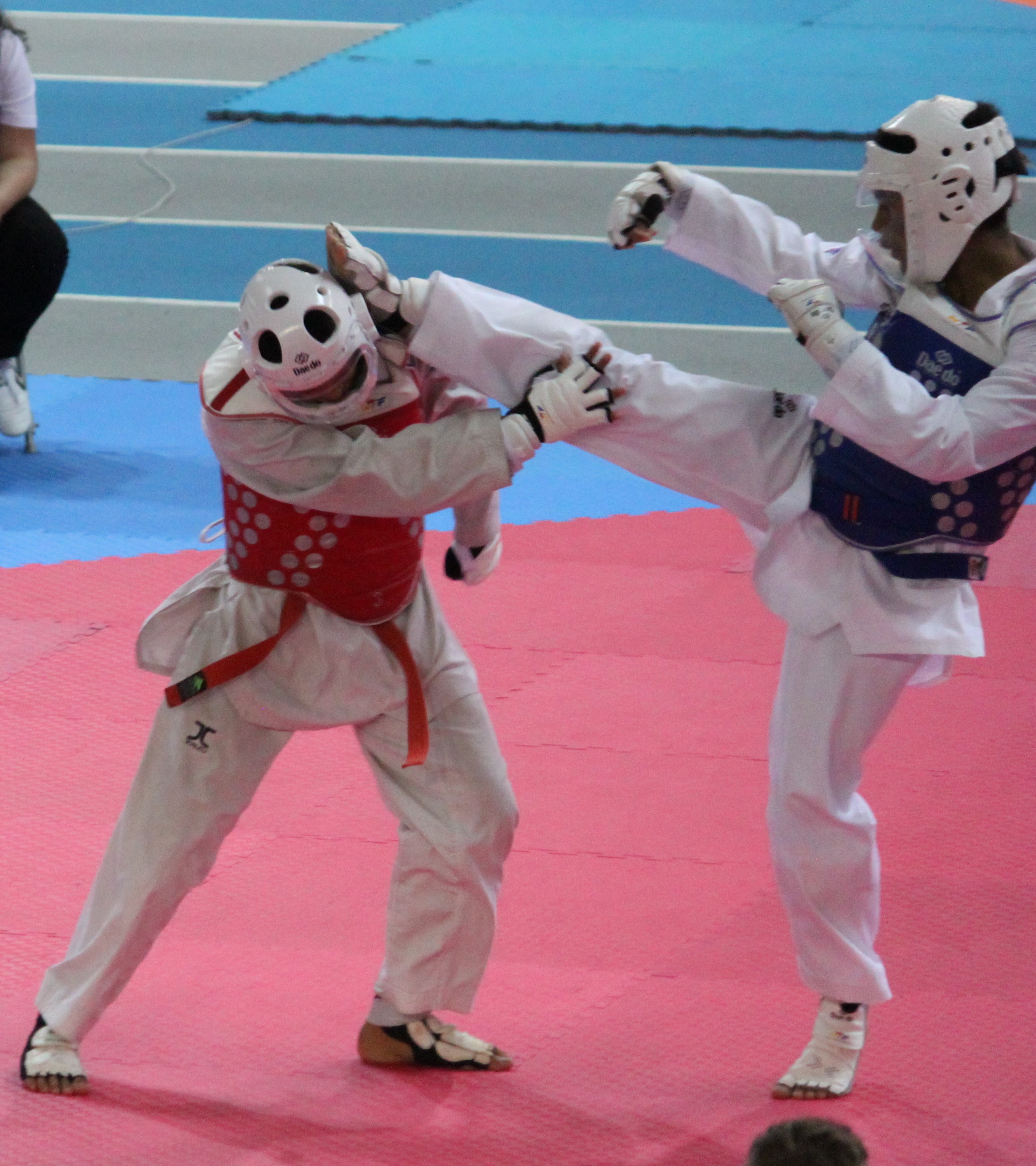Taekwondo2