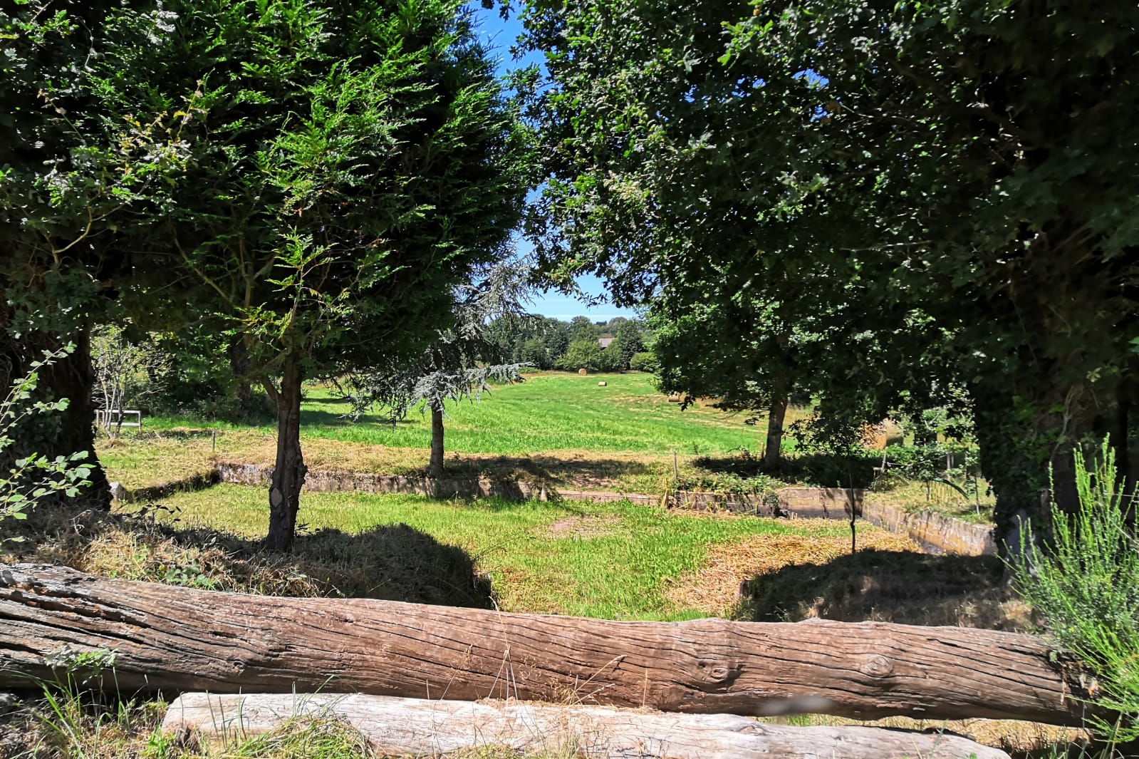 388c1ba0-251e-41d8-a0c7-5457171a2a09