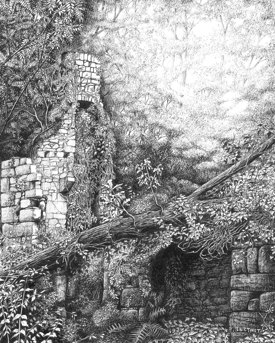 Ruines de moulin