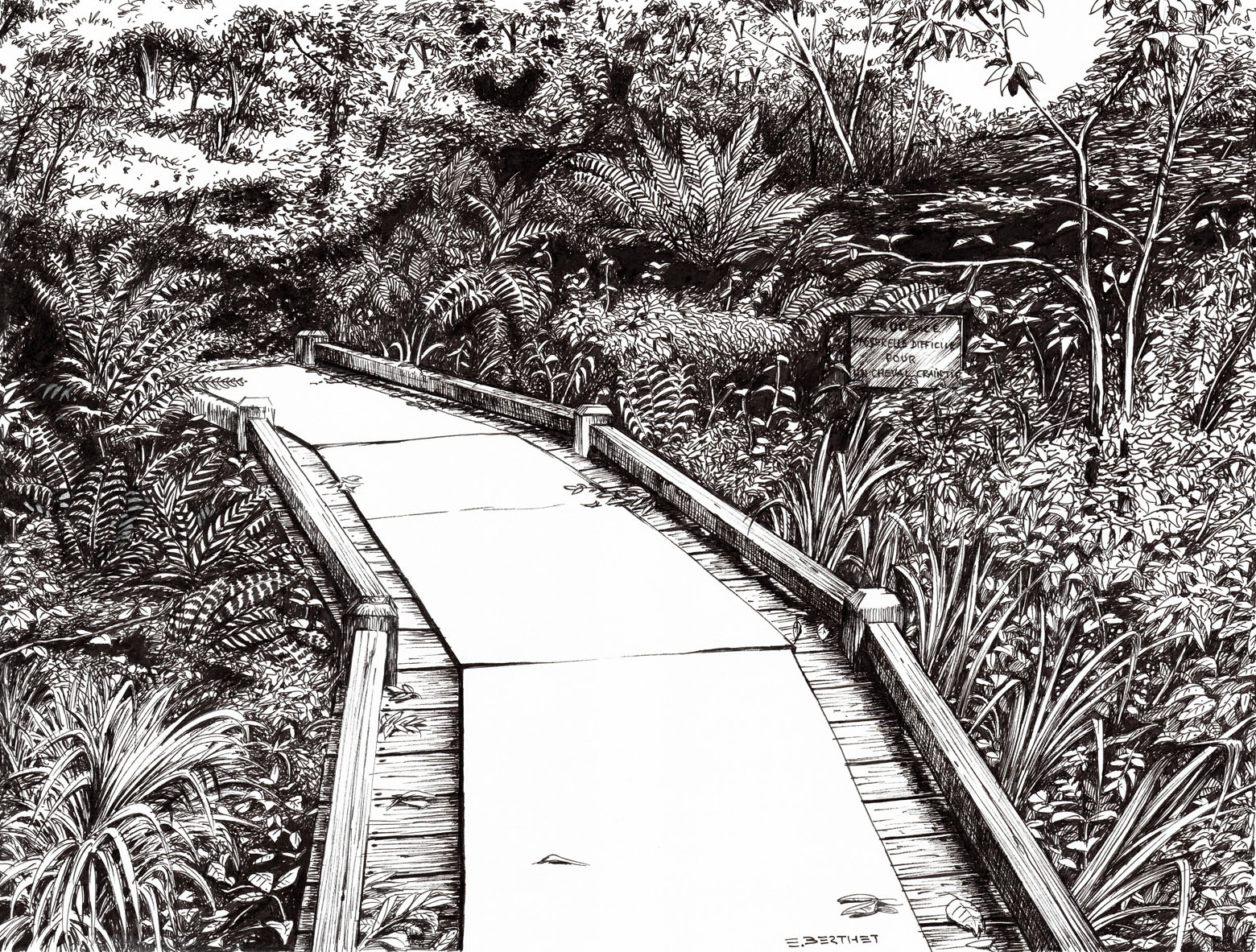 Passerelle difficile pour un cheval craintif