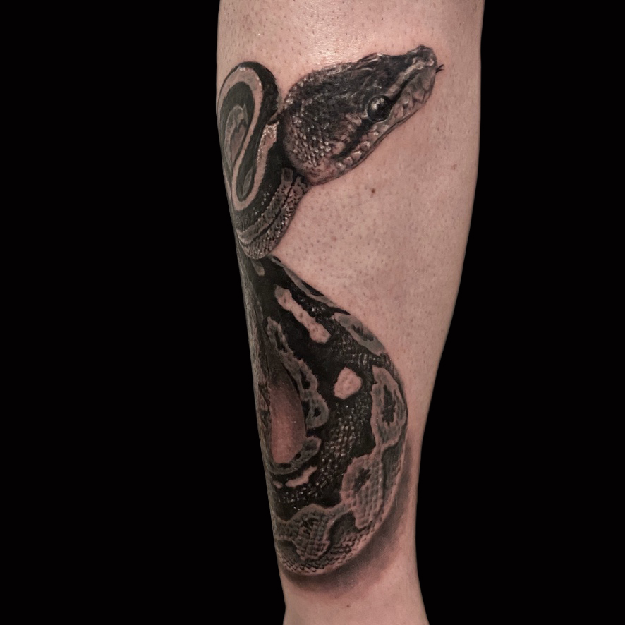 Serpent