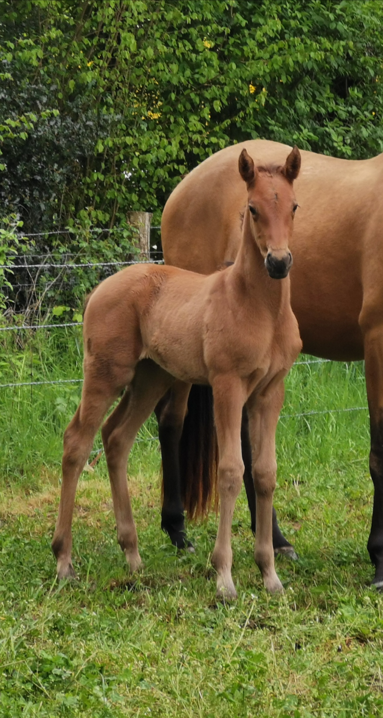 Img 20200501 125132 1 