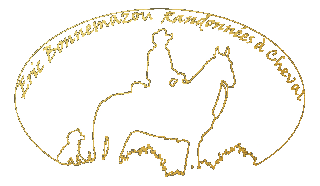 Logo-amarillo-copie