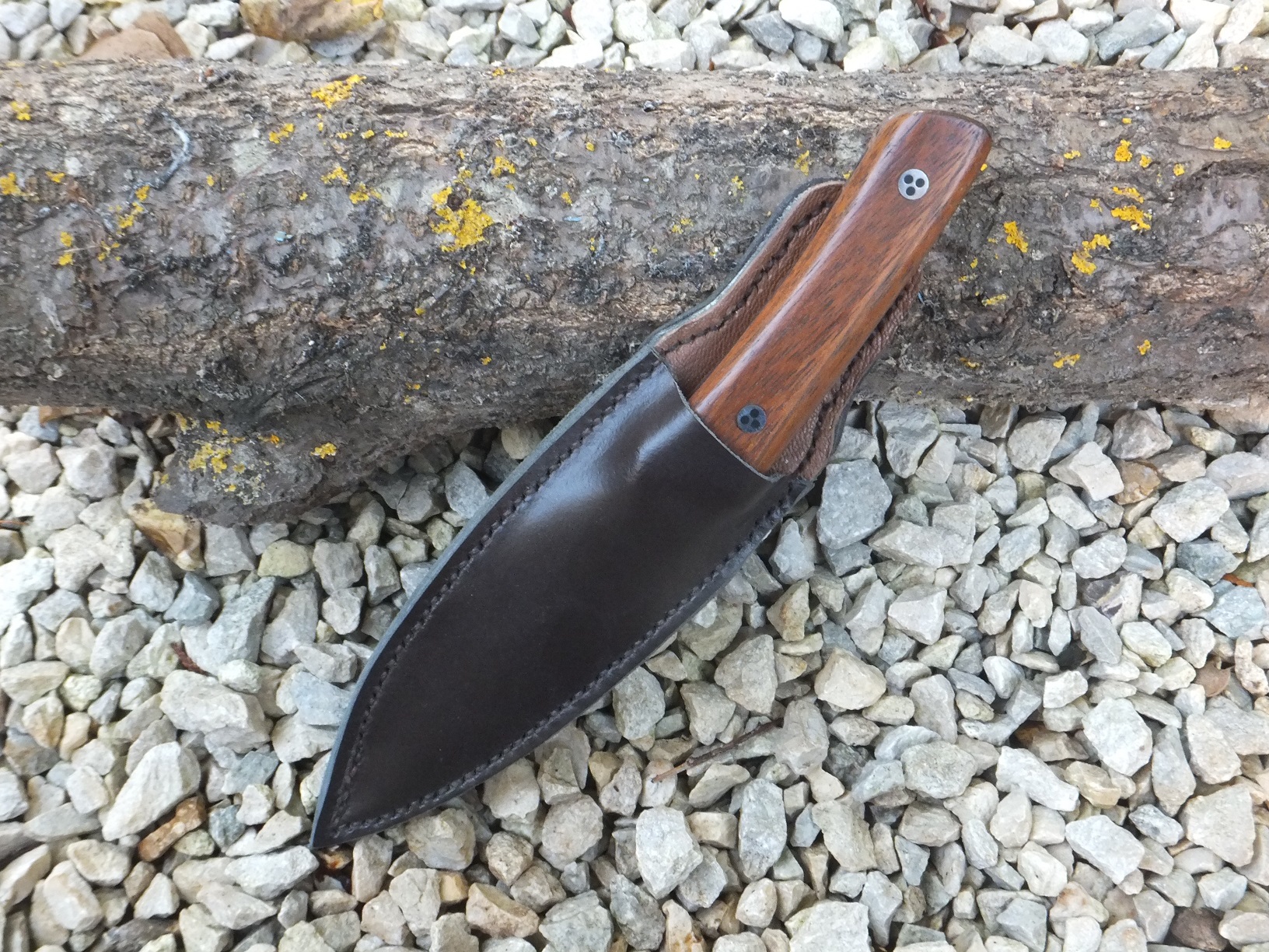 Jatoba 2
