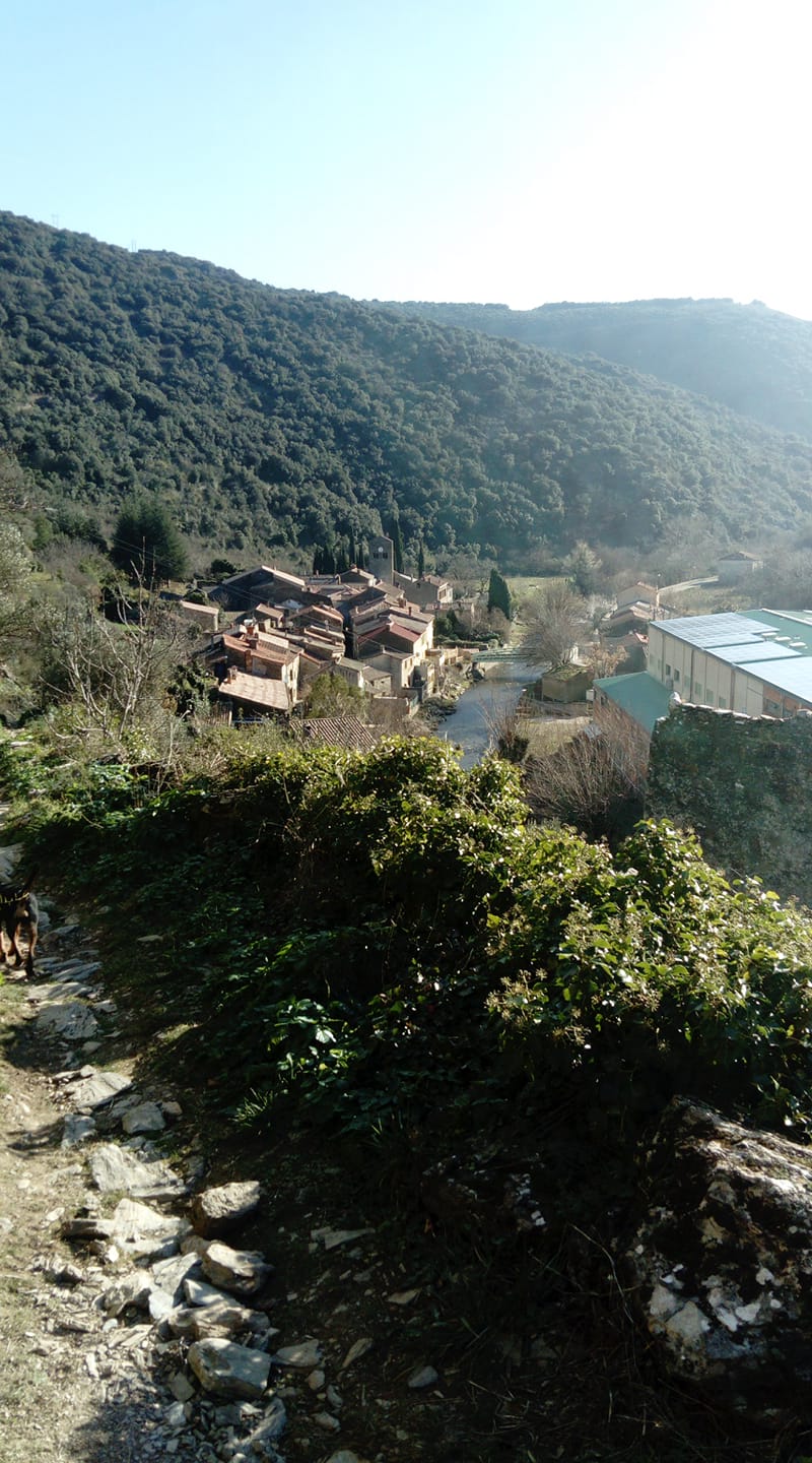 49306594 10217674418435191 4735609289639460864 o