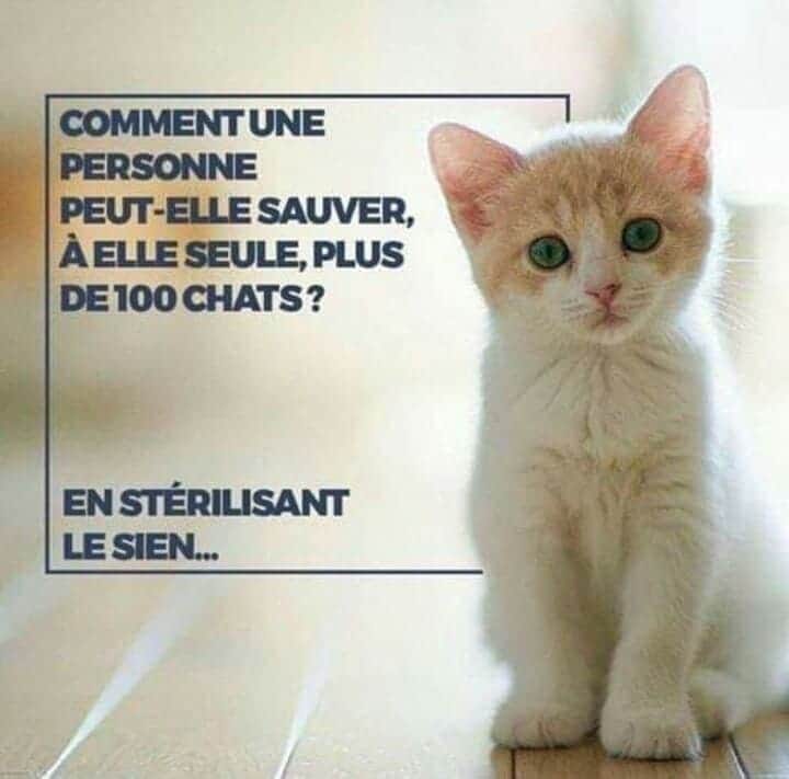Affiche-sterilisation