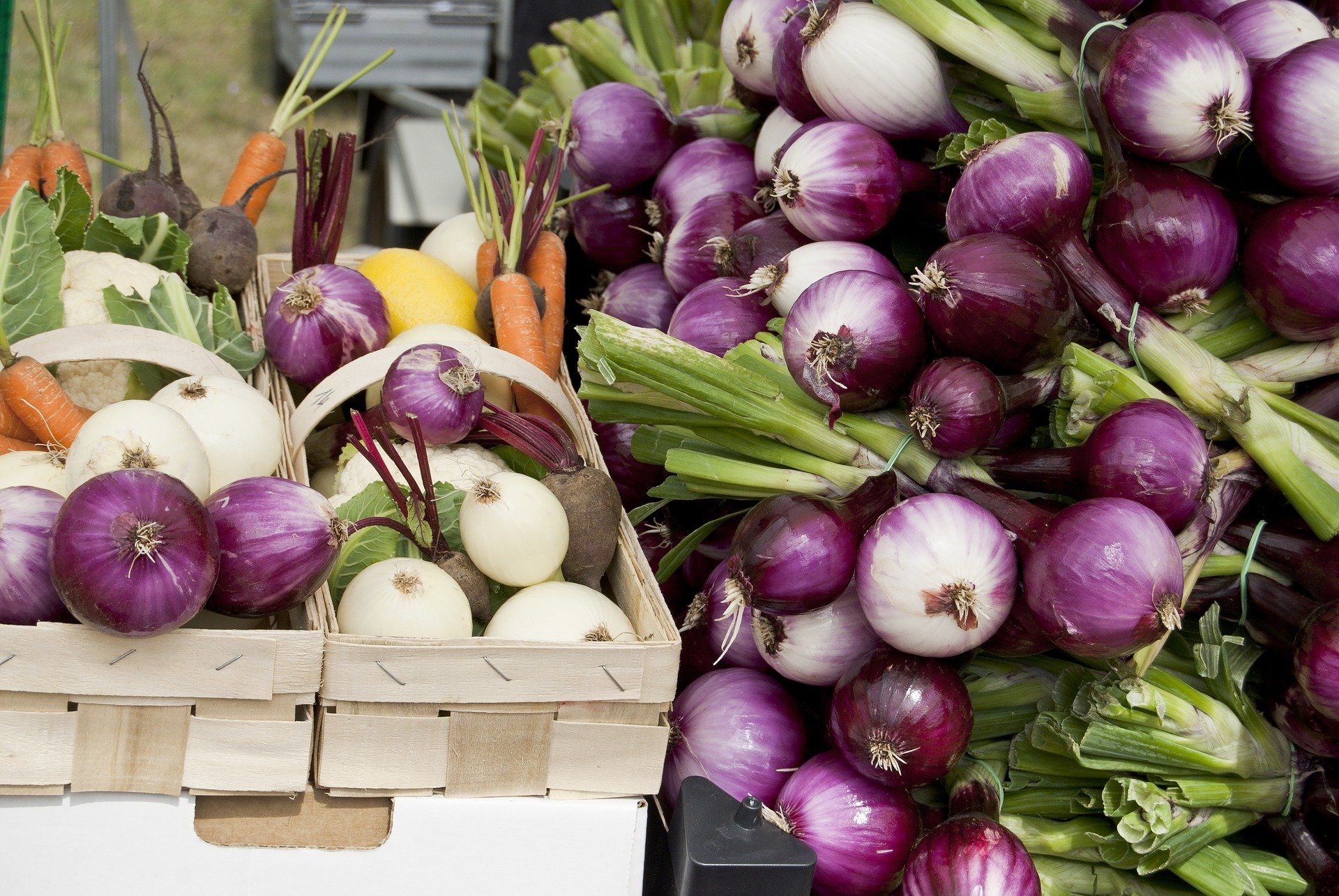 Fresh-vegetables-1537603 1920