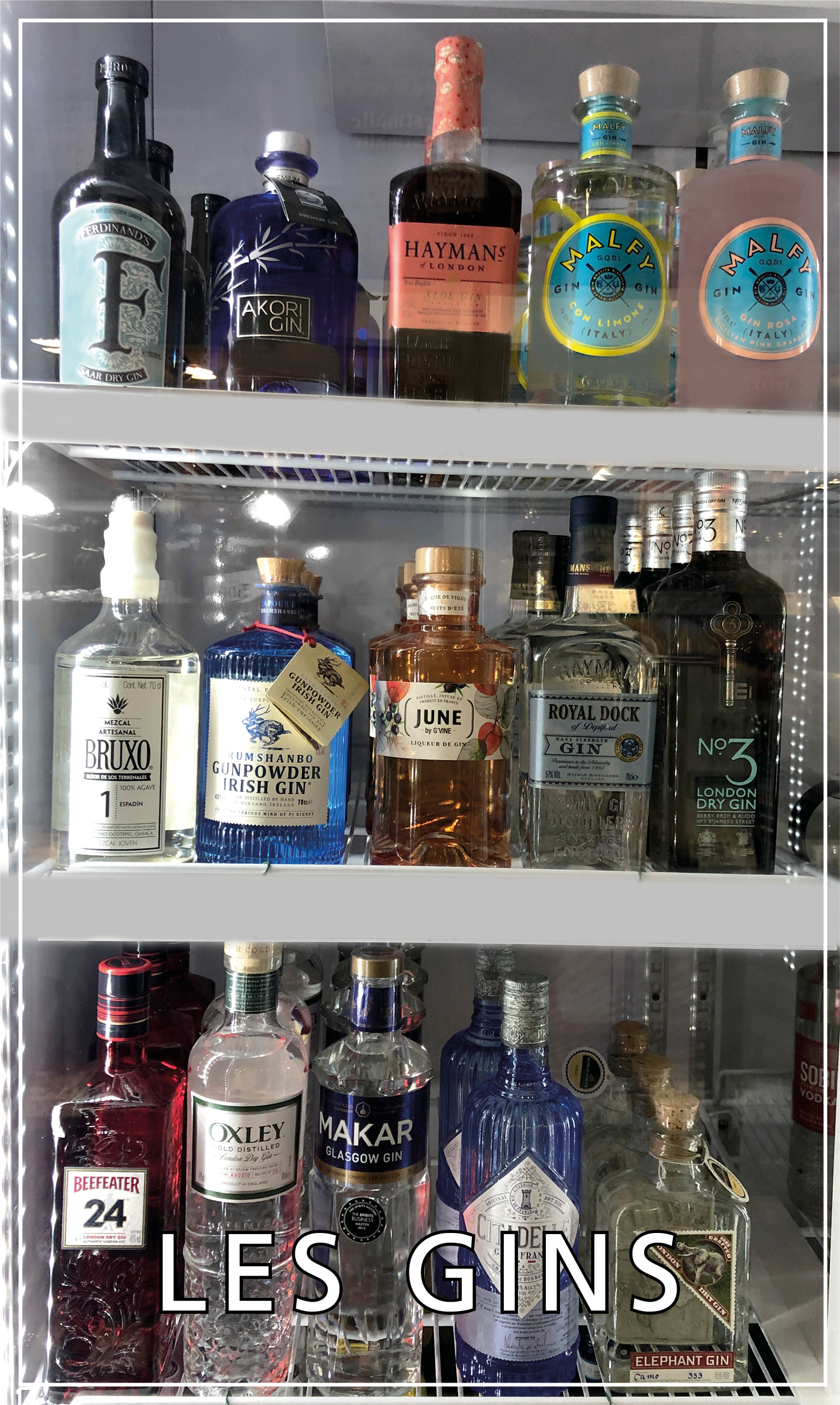 Les-gins-