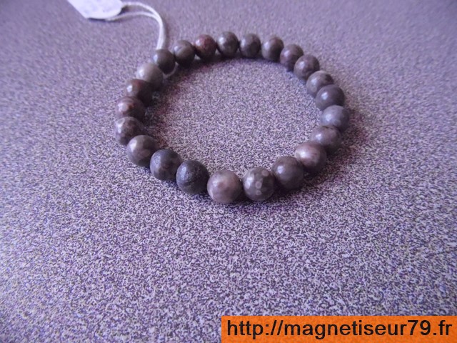 Agate fossile 08 ab copier 