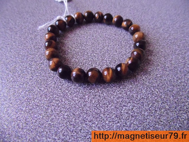 Oeil du tigre 08 a copier 