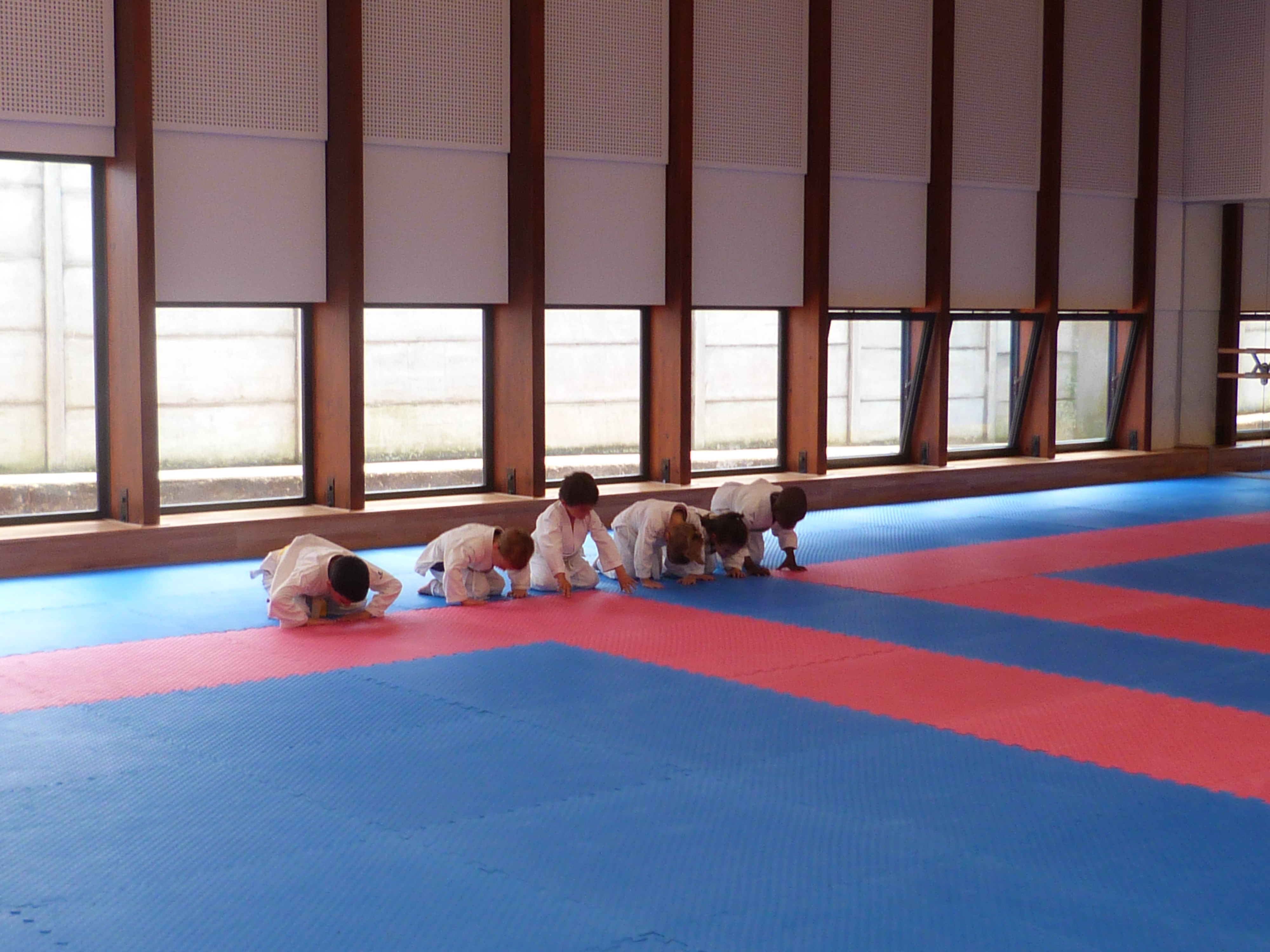 Judo 2