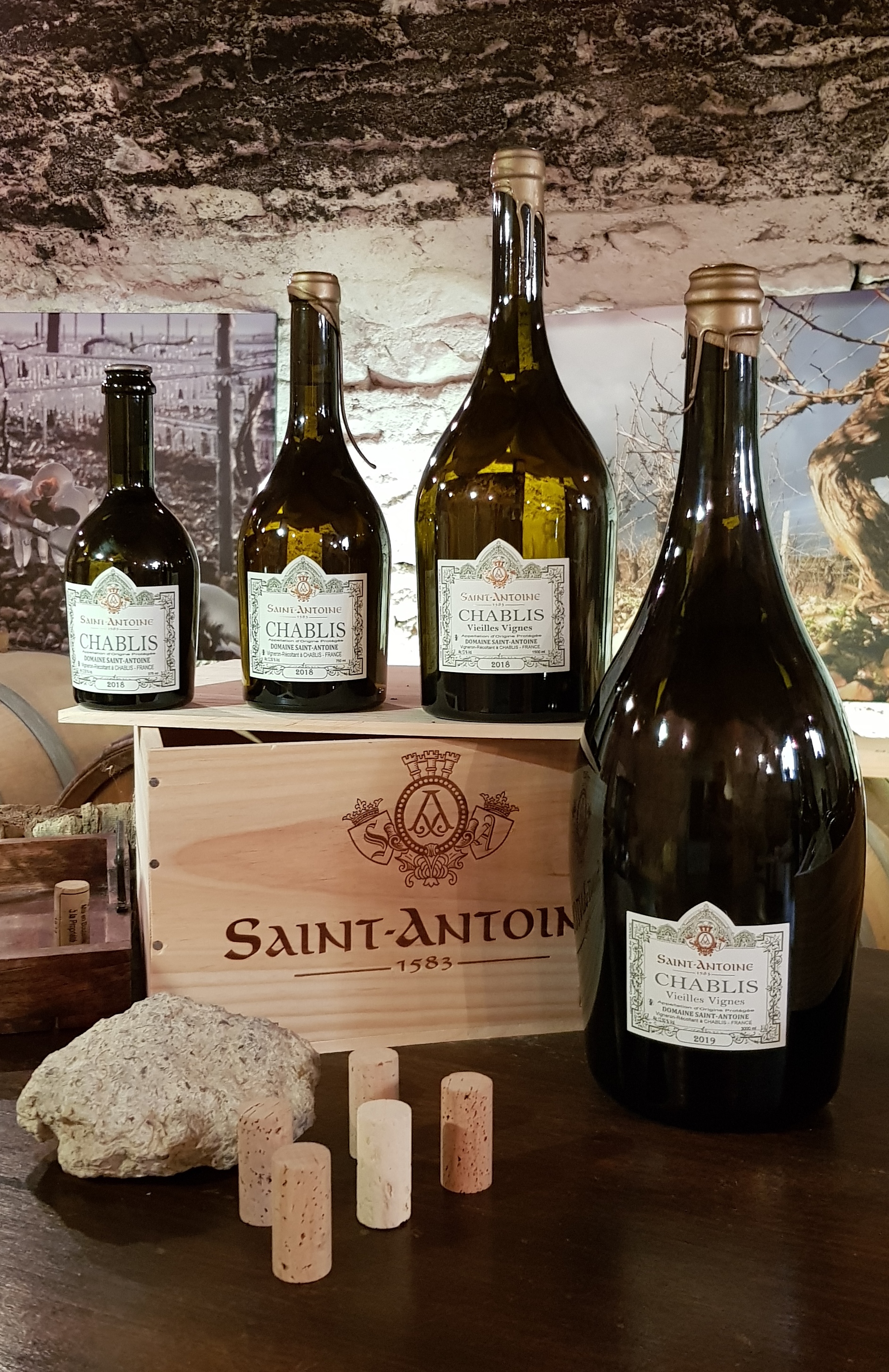 Jeroboam 1