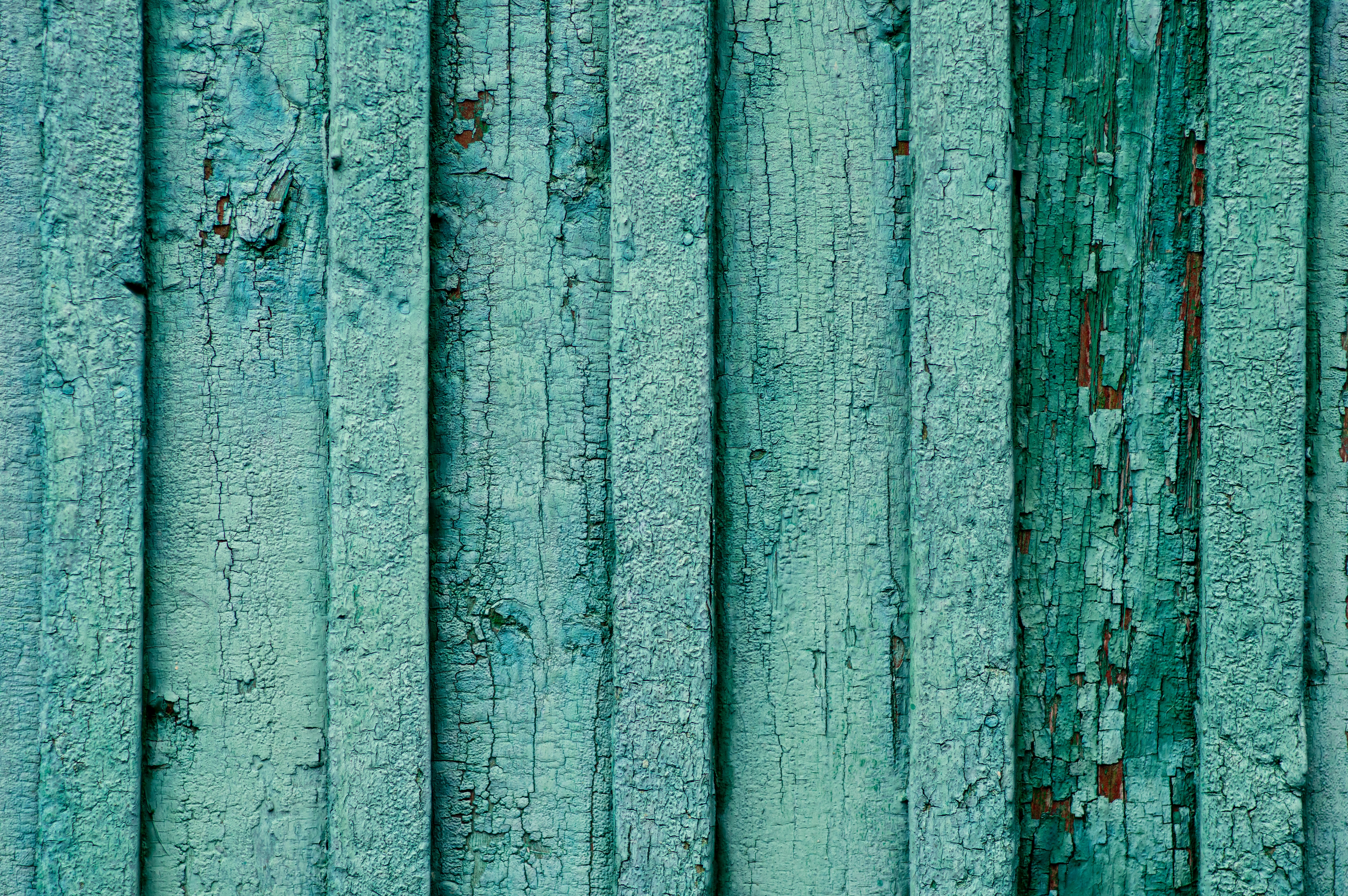 Elena mozhvilo e lba4jijqq unsplash