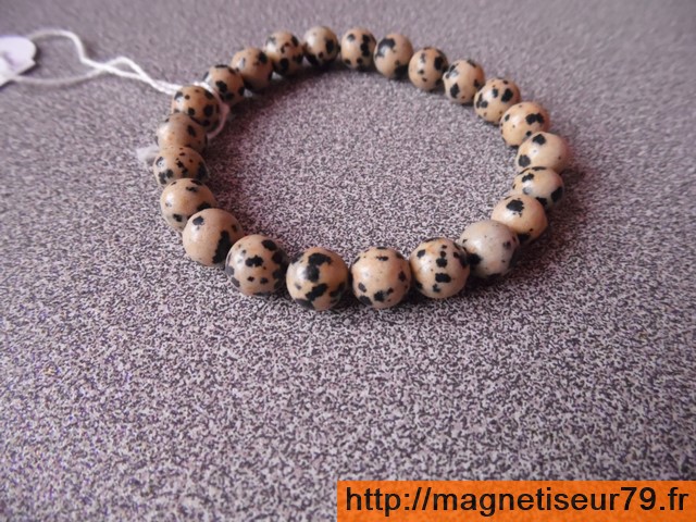 Jaspe dalmatien 08 ab copier 