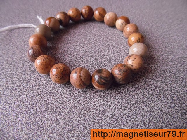 Jaspe paysage 10 ab copier 