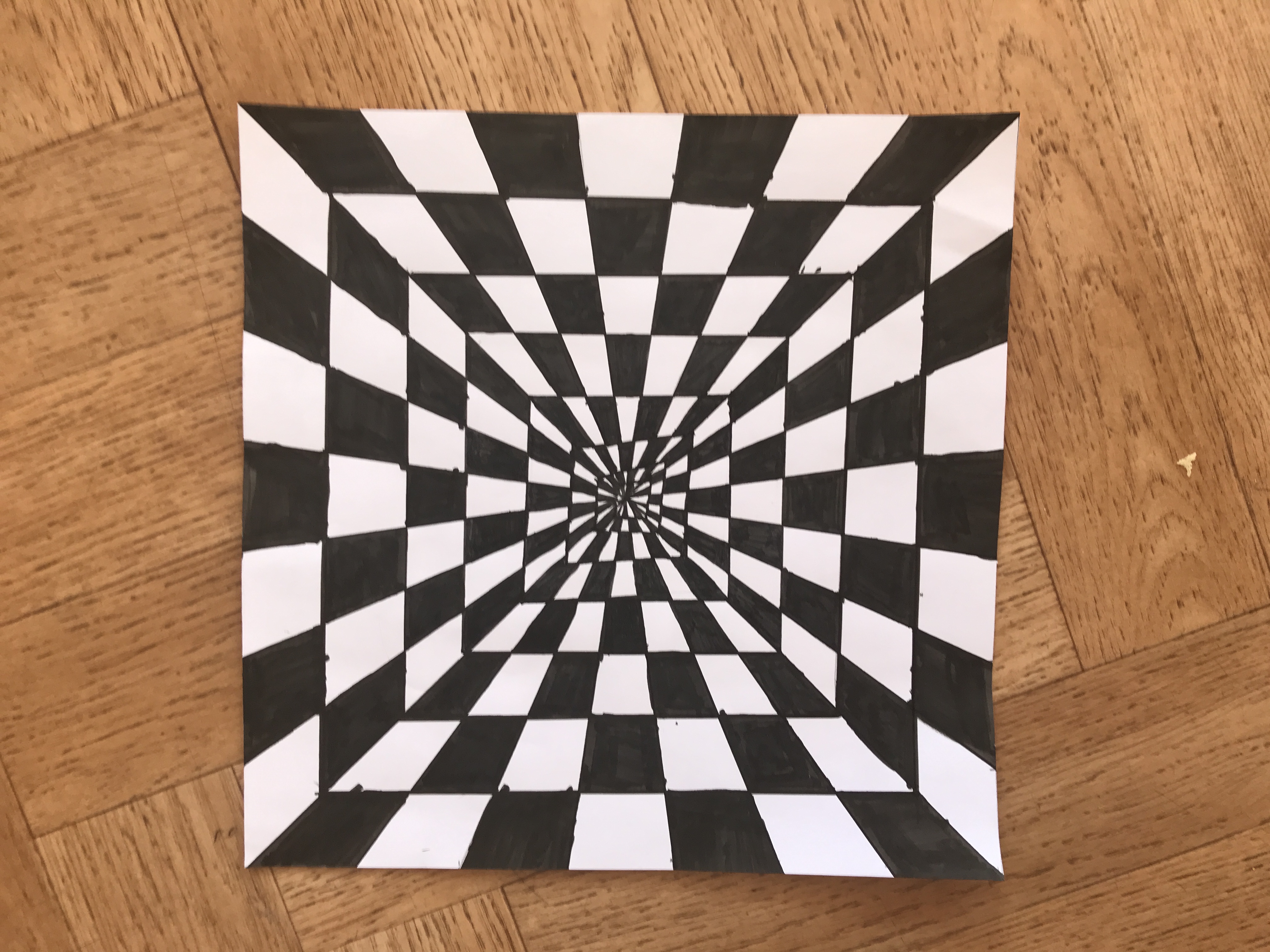 La gazette des CM2 de Ducerceau - Illusions d'optique