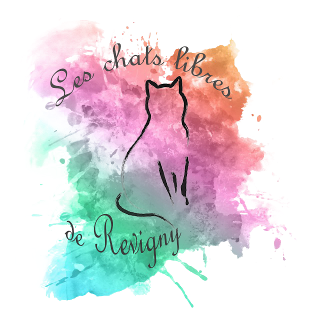 Logo-association-revigny