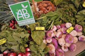 Agriculture-BIO