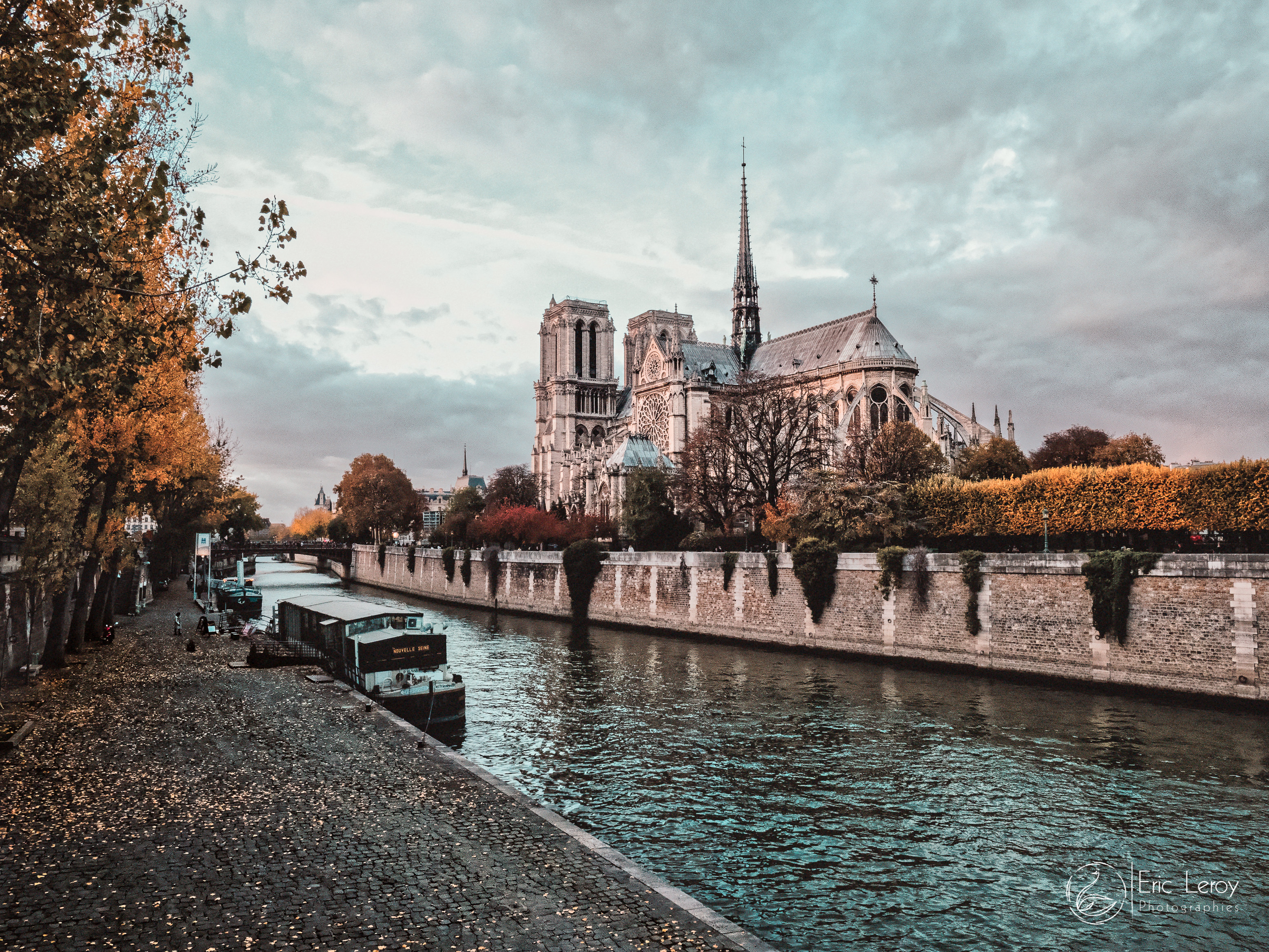 Notre dame 1 