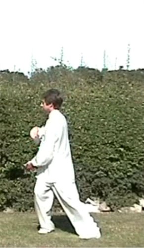 SW8