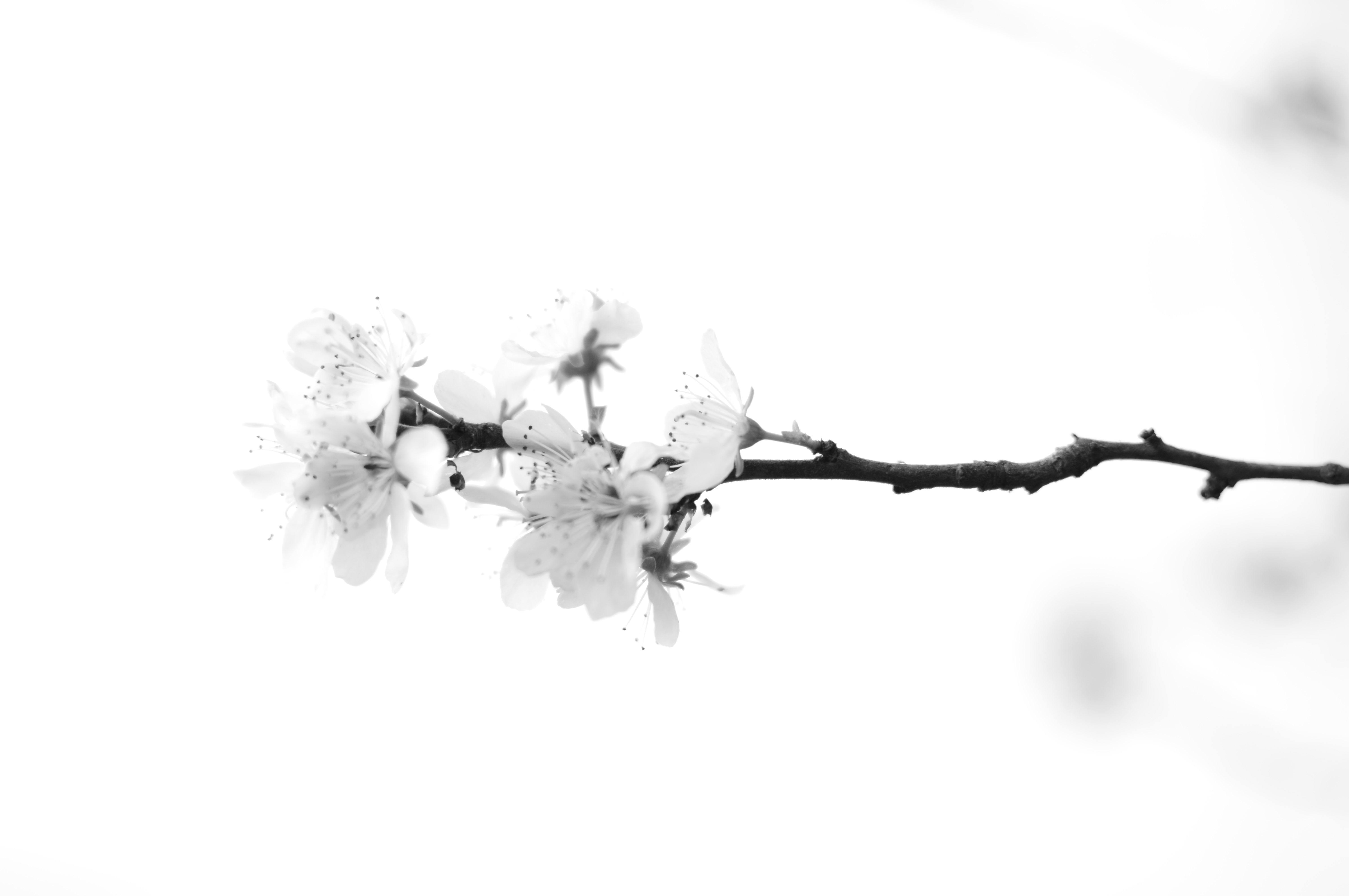 DSC 0570-1-