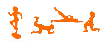 Renforcmt-musc
