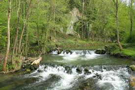 Molignee-Riviere