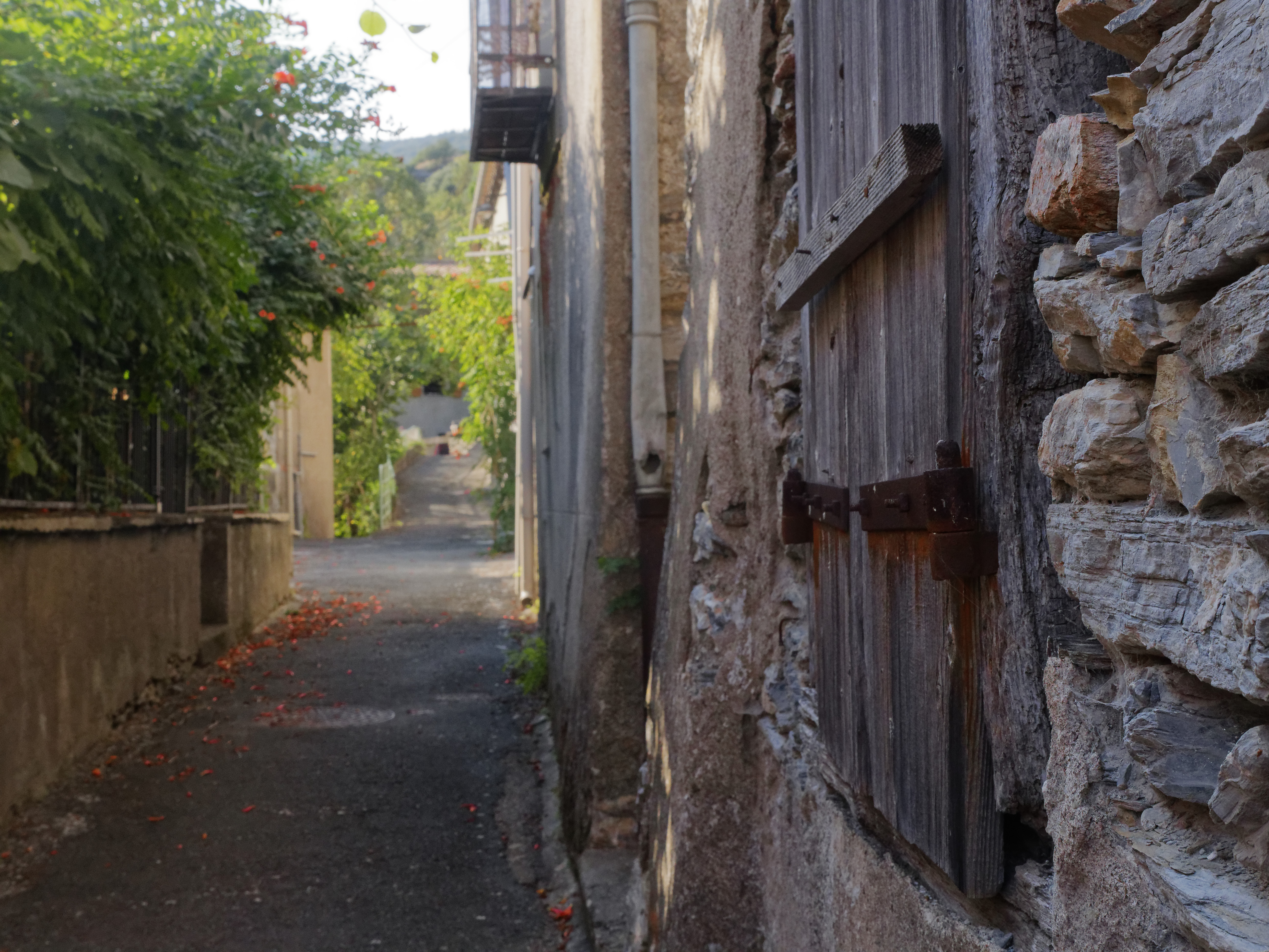 Rue de la brousse les ilhes