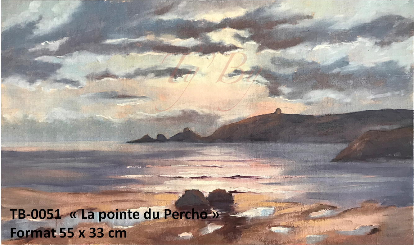 Ty by artiste peintre quiberon tb0051