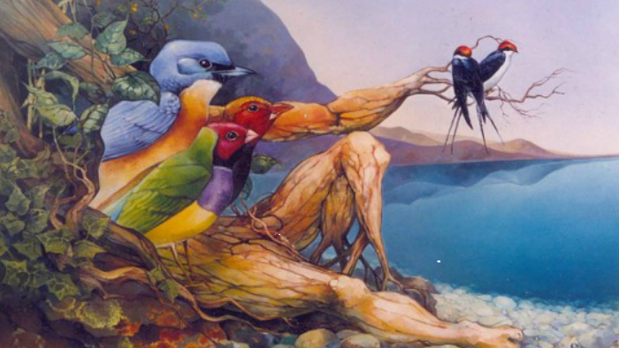 Z6alv4w6oo3ips7opz5zctf2a36jc3sachvcdoaizecfr3dnitcq 3 0