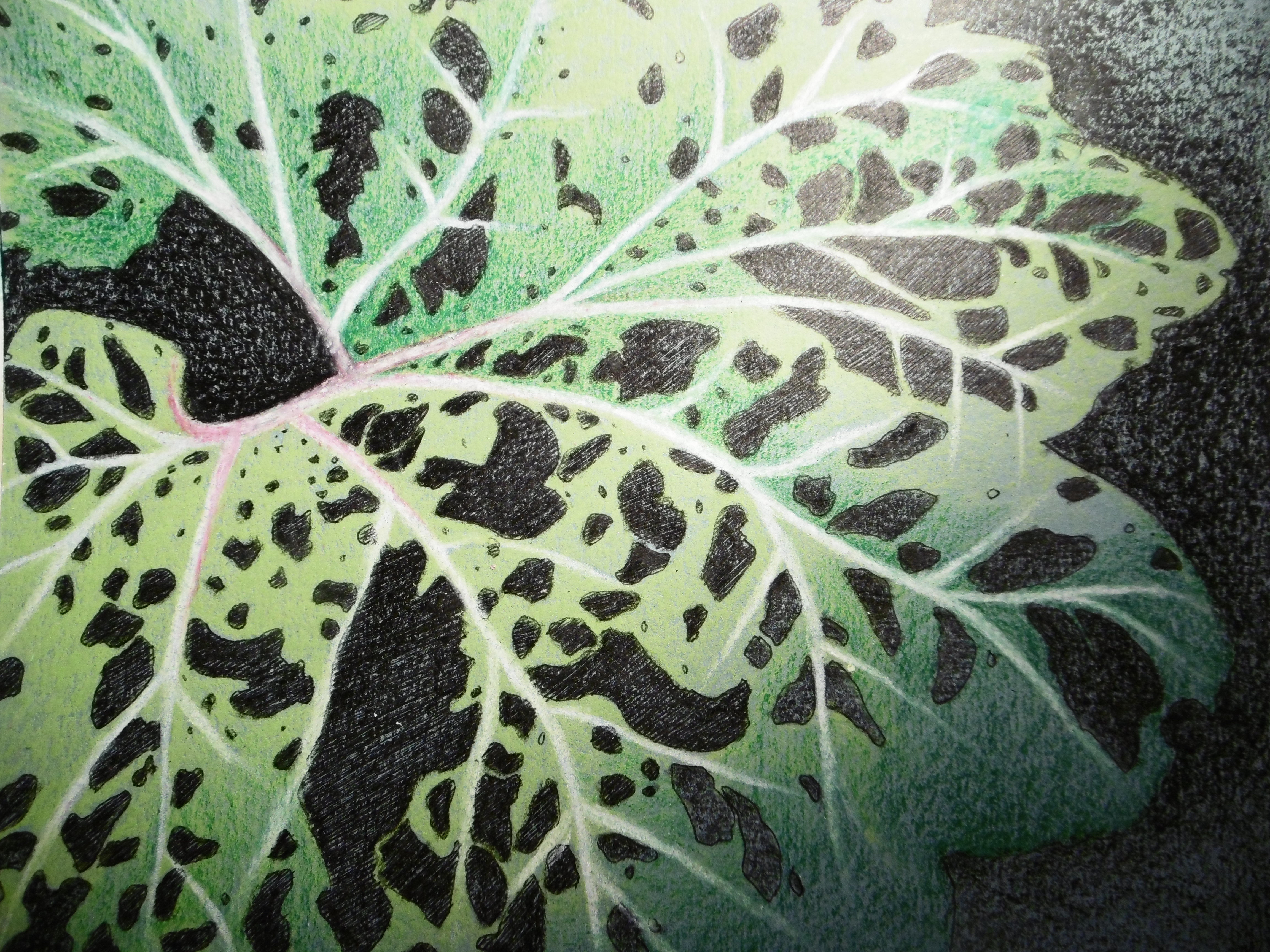 P1080534