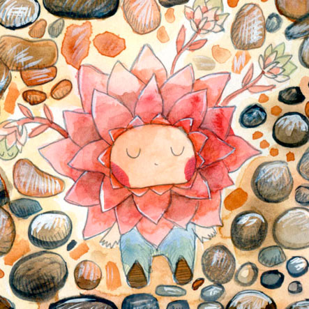 Succulente