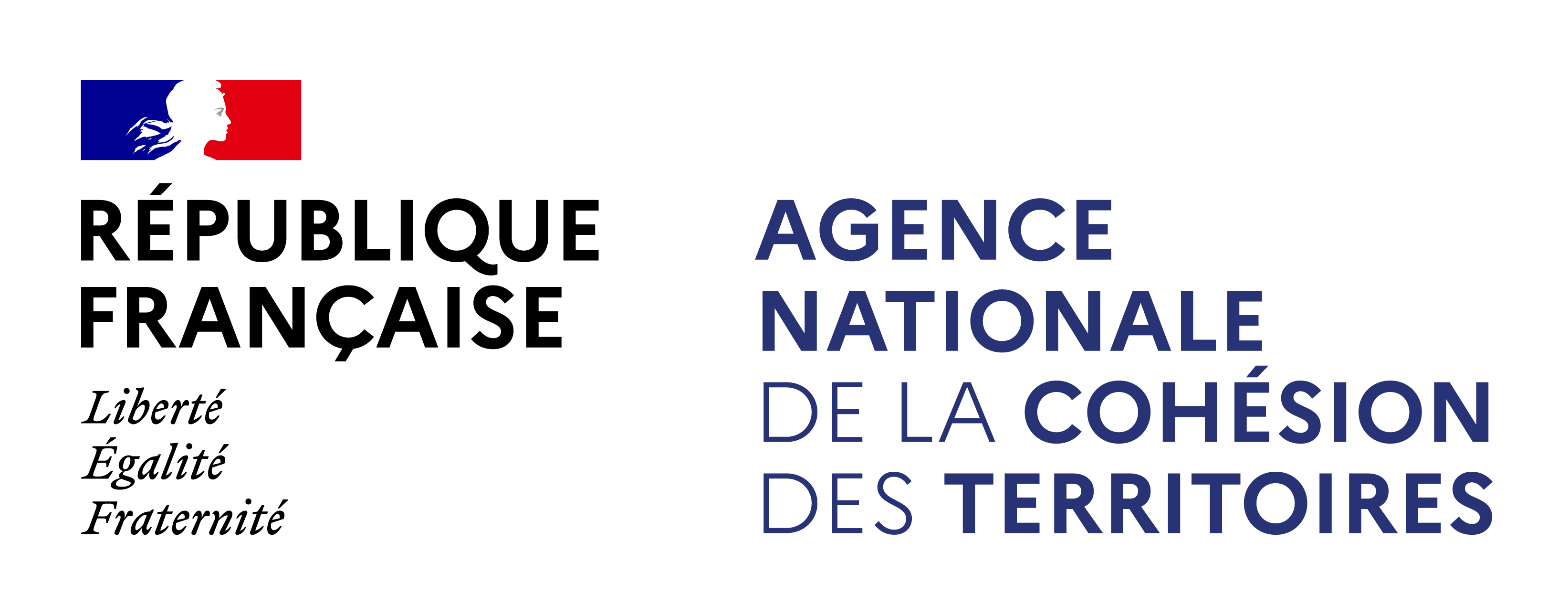 Anct logo