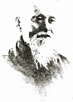 Sensei filigramme transparent