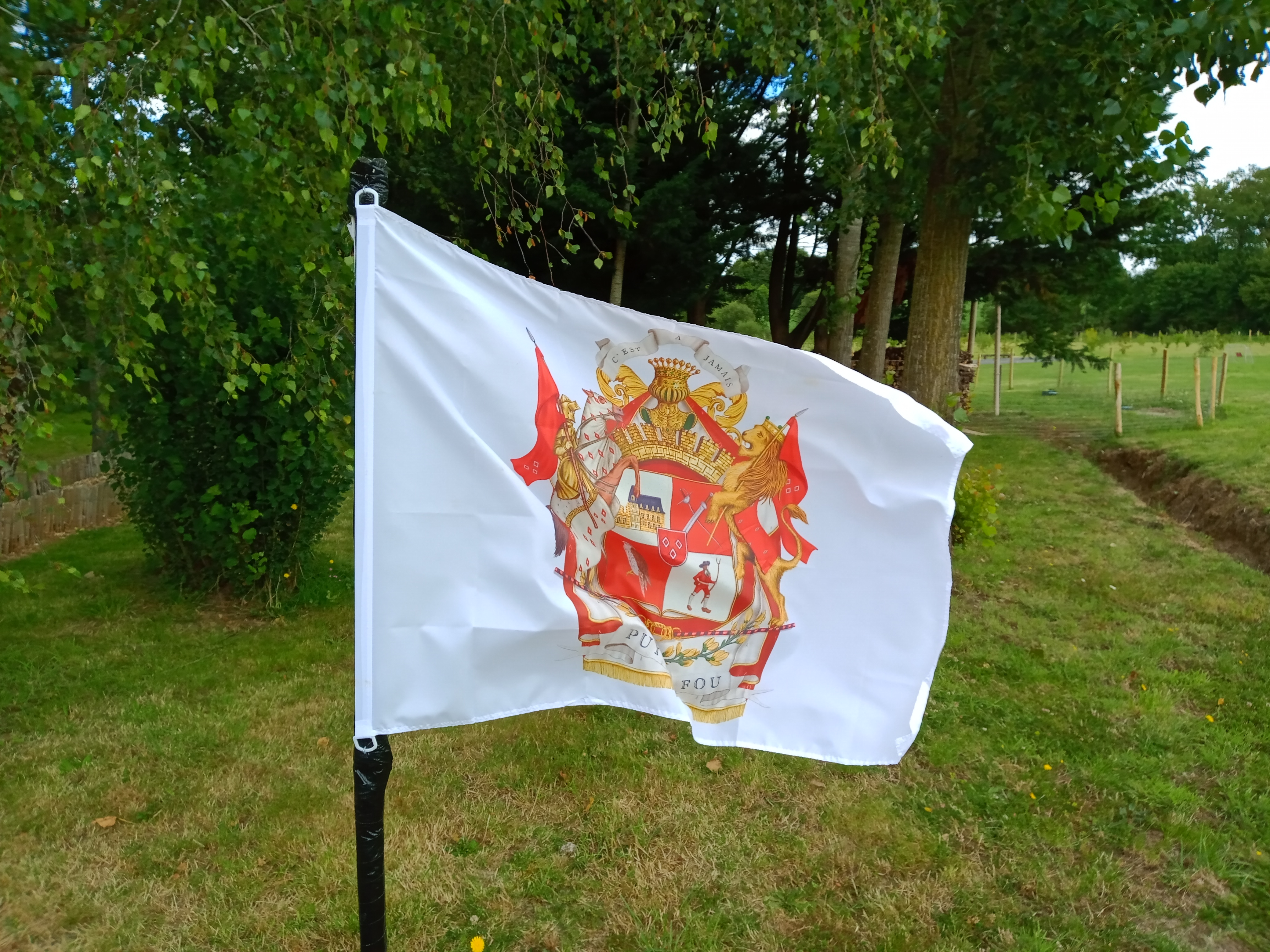 IMG 20200703 135900308