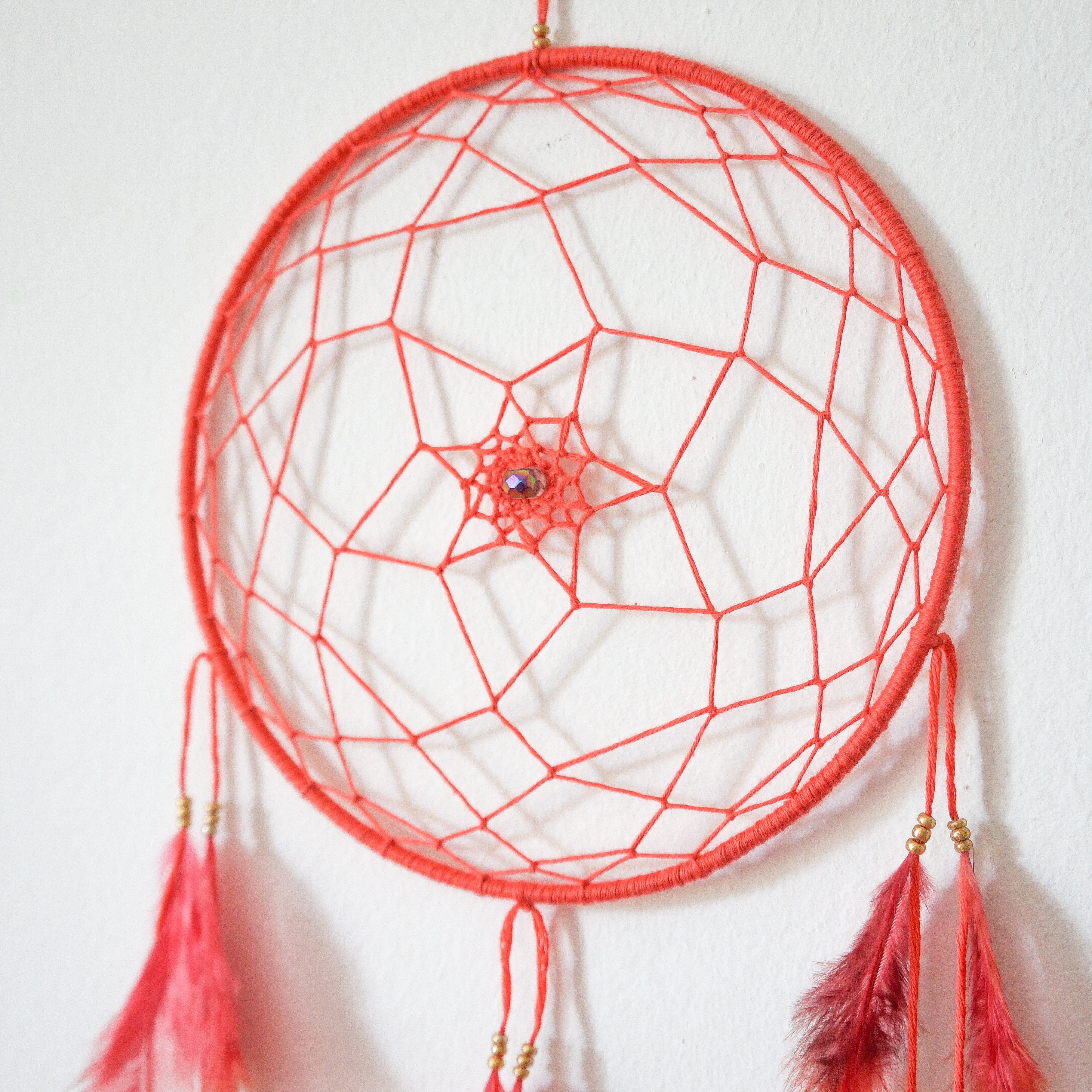 Rose corail carre def details