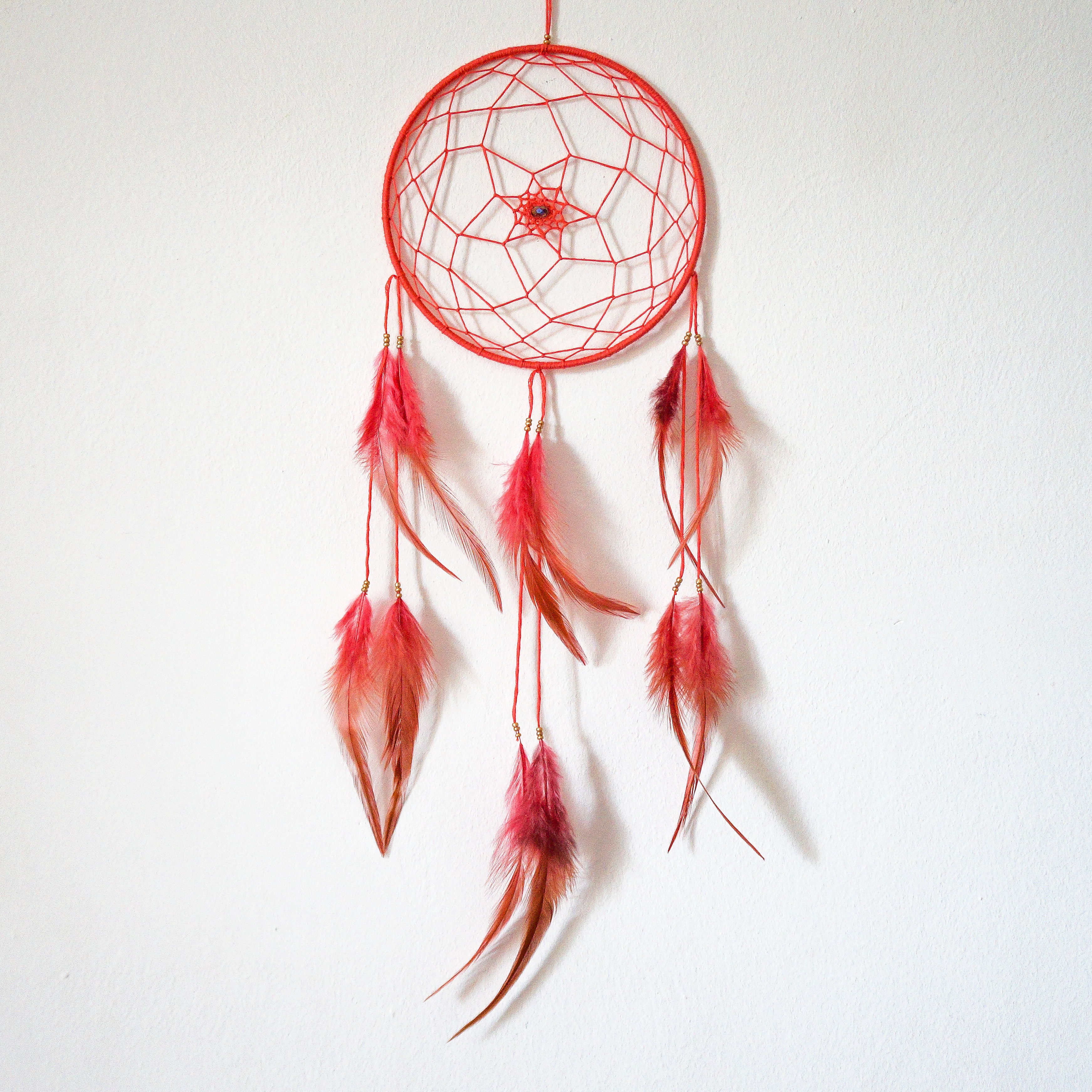 Rose corail carre def