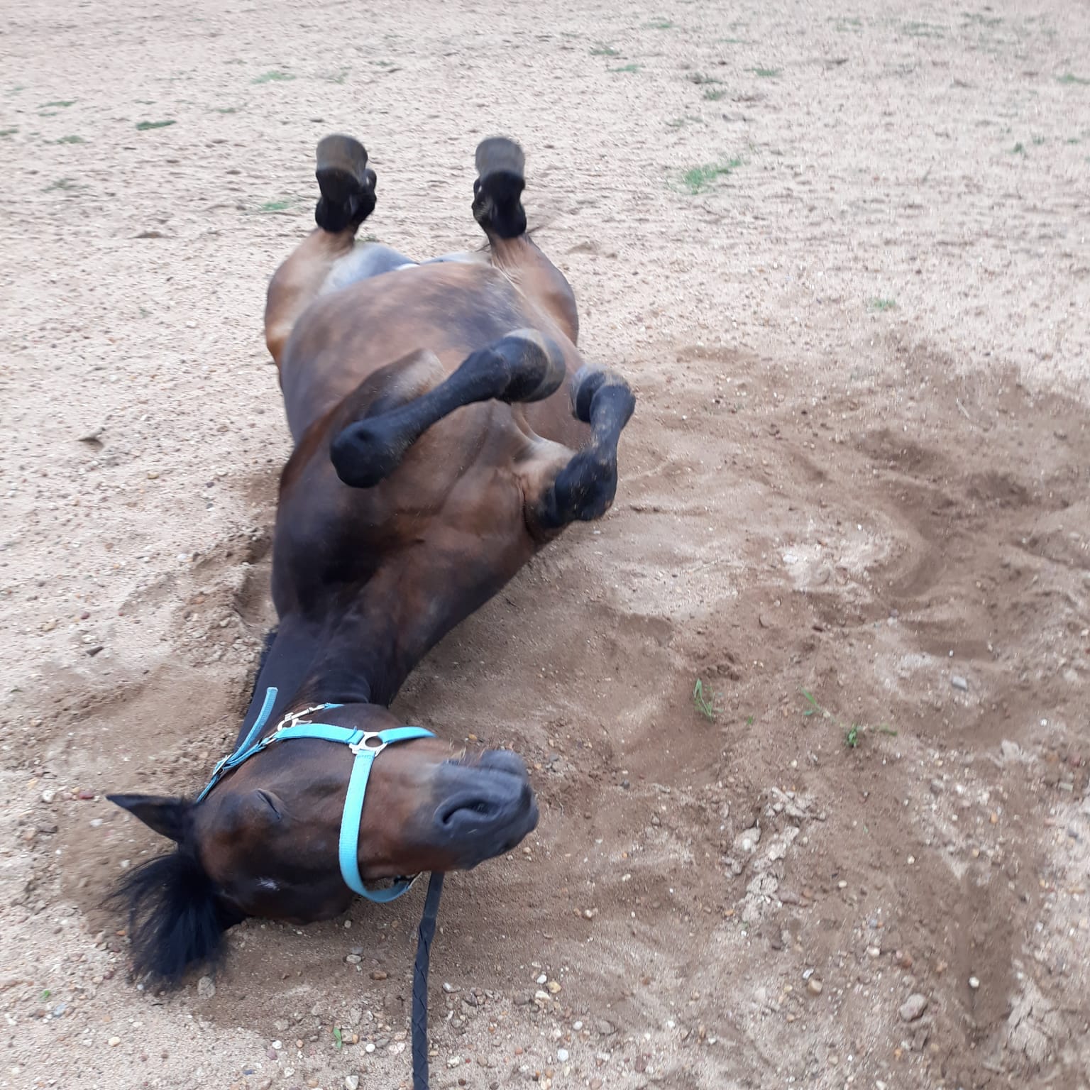 Img 20190811 wa0001 mando carriere