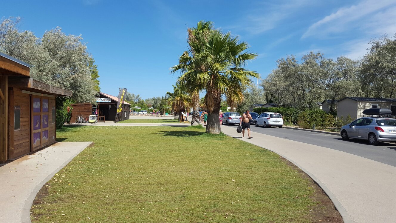 20160810-154551-largejpg