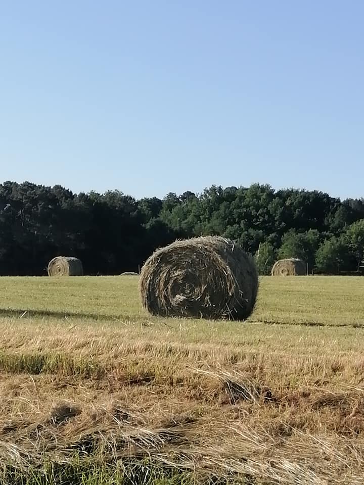Bourgnac2
