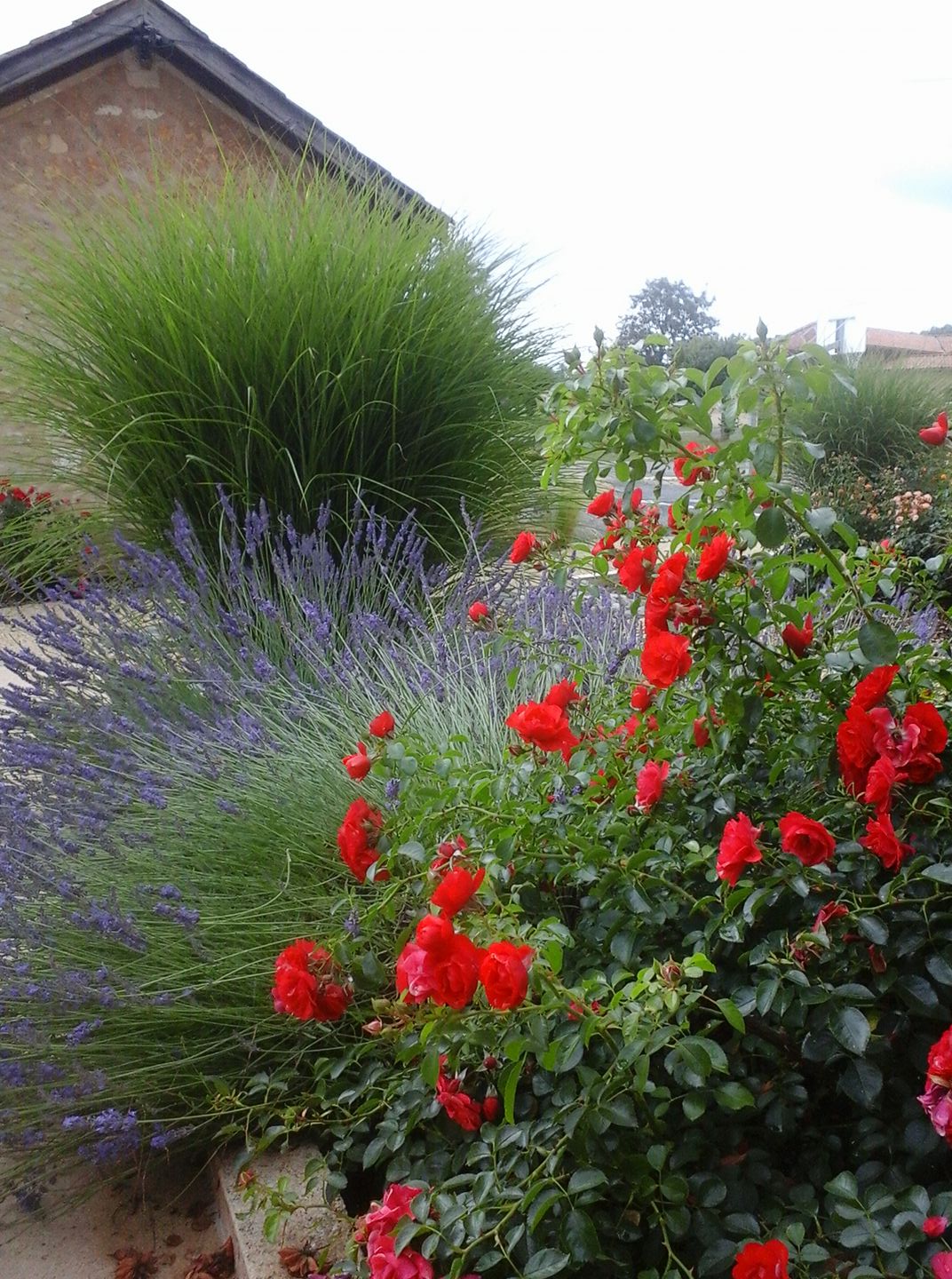 Bourgnac5