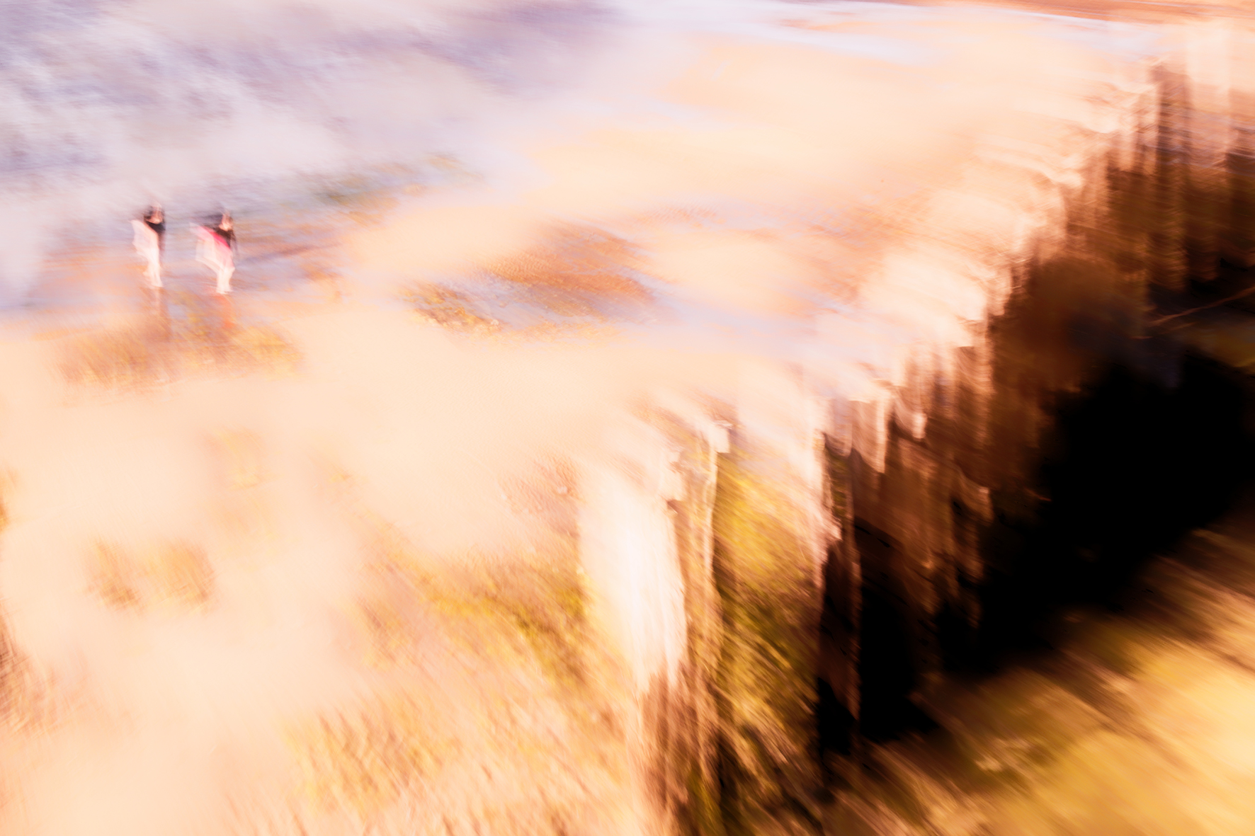 S d8c 5636 dxo 2 copie def