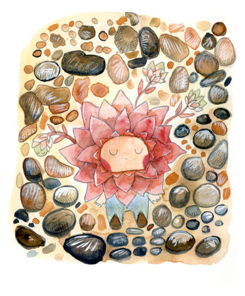 Succulente det