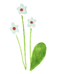 Fleurs